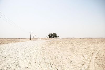 lonely desert road