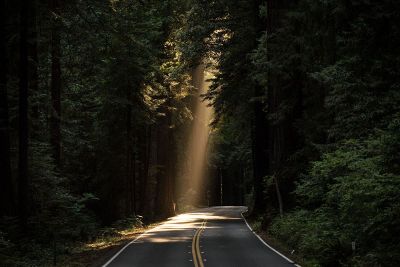 road in the forest