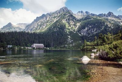 lake overlooking forested mountains