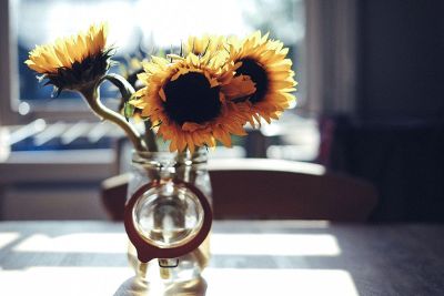 sunflowers in bell jar