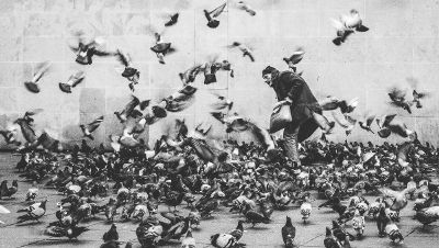 man surrounded by birds