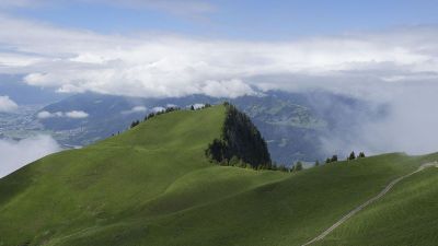 mountain grassland