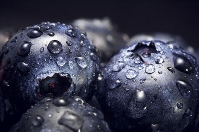 blueberries with dew