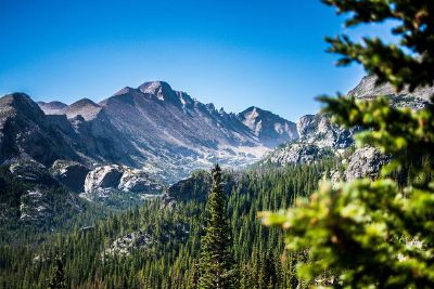 forest and mountains