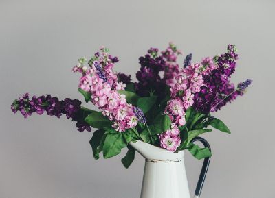 purple flowers in a white jug