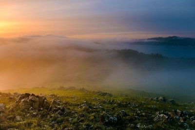 fog enshrouded hillside