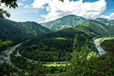 winding path through the hills