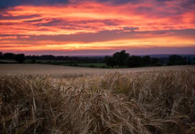 country sunset