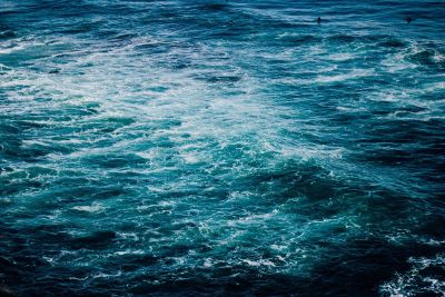 the peoples enjoying the seawaves