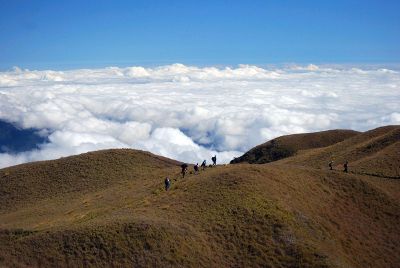 hikers on a grassy mountain