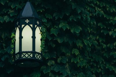 ivy covered lamppost
