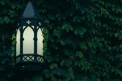 ivy covered lamppost