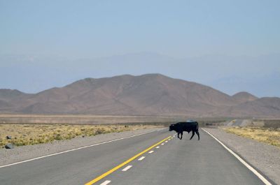 peaceful road