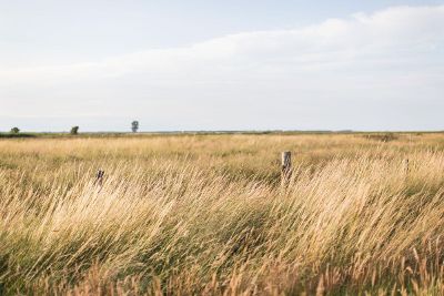 wind over the prarie