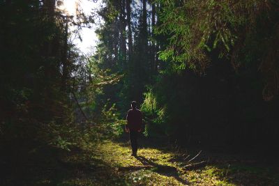 man walking in woods