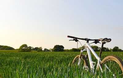 bicycle in a field
