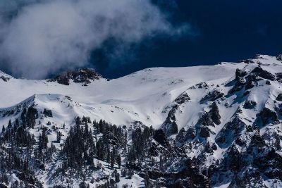 snow and trees on the mountain