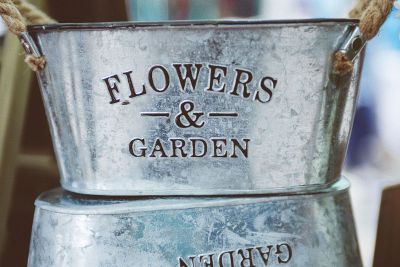 flowers pot