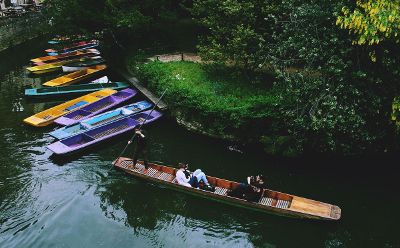 boats in the water