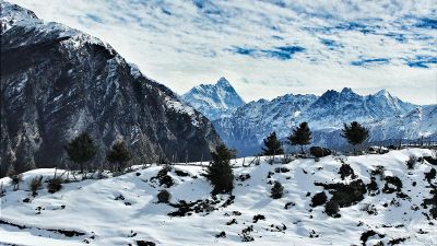 a snowy landscape