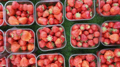 bunch of strawberries