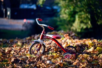 a bicycle in a leaves