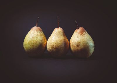 still life of pears