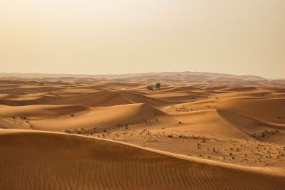 landscape of sandy dunes