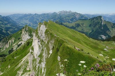 grassy mountain peaks