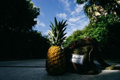 sweet pineapple