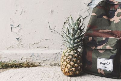 pineapple army backpack