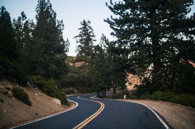 winding road in forest