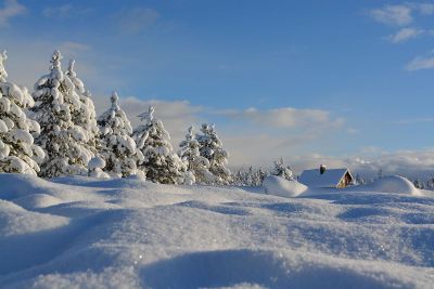 snowy retreat