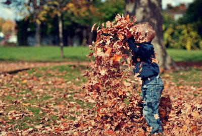 child playing in leaves