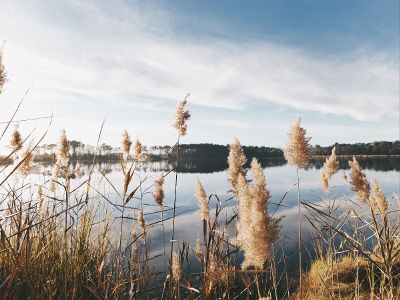 nature water