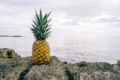 pineapple with a view