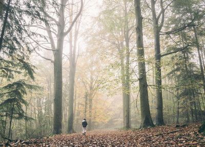 person in the woods