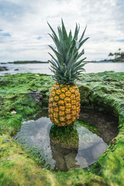 pineapple at the beach
