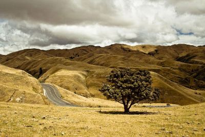 lonely road among the brown hills