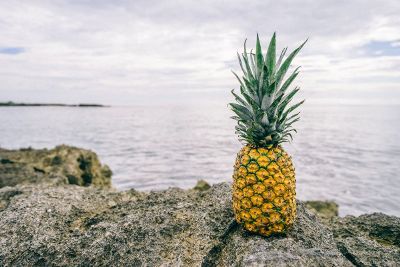 a pineapple by the ocean