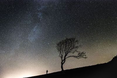 man standing by tree at night