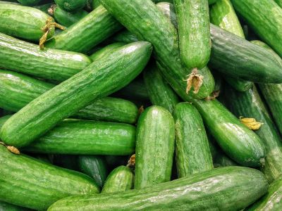 pile of squash