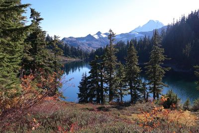 mountain lake surrounded by trees