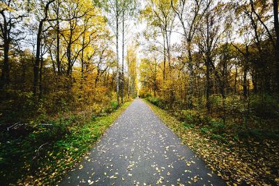 fall walkway