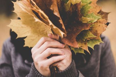 person holding leaves