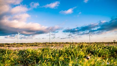 wind turbines in a field