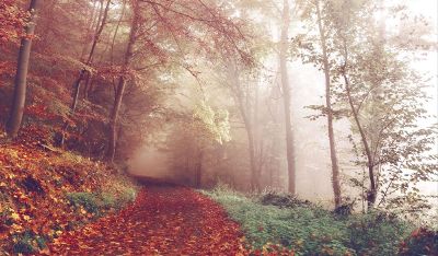 a country lane