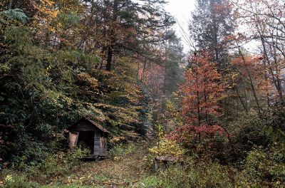 scary shed in forest
