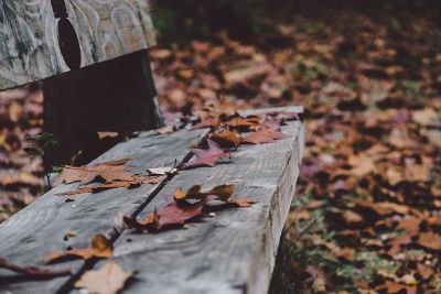 fall bench