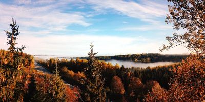 fall forest